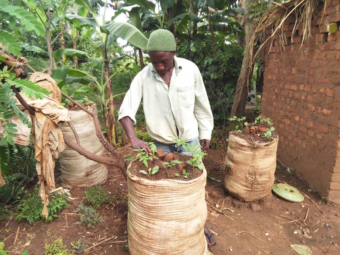 Sustainable livelihood initiative